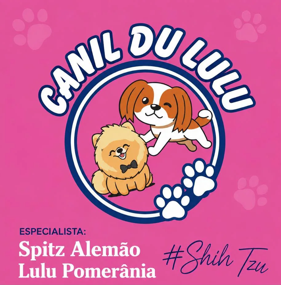 Canil du Lulu - Spitz Alemão e Shih Tzu